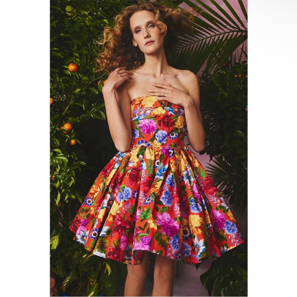 Cara Cara Nadia Fiesta Blossoms Floral Print Strapless Red Boned Bustier Dress